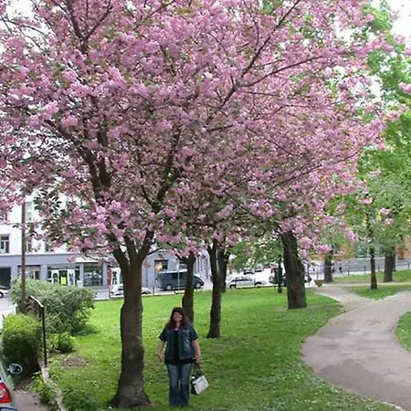 Nordic Host - Deichmans Gate 10 * Oslo