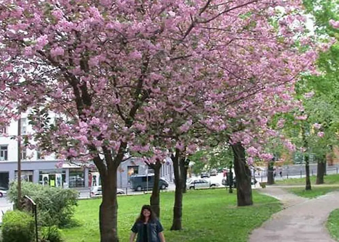 Nordic Host - Deichmans Gate 10 * Oslo